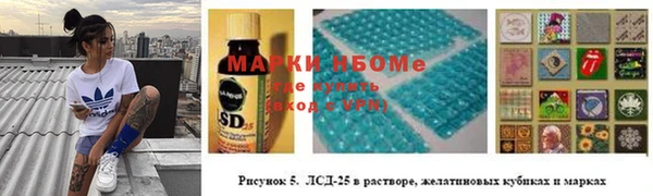 прущие грибы Абаза