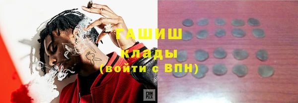 прущие грибы Абаза
