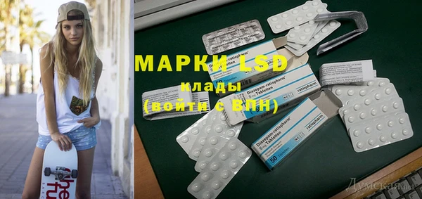 прущие грибы Абаза