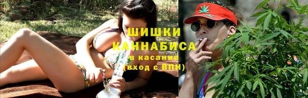твердый Горнозаводск