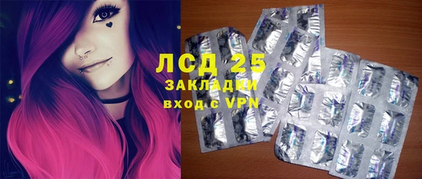 прущие грибы Абаза