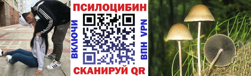 Псилоцибиновые грибы Magic Shrooms  Полтавская 